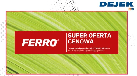 FERRO - Promocja na baterię ZUMBA tylko w lipcu!