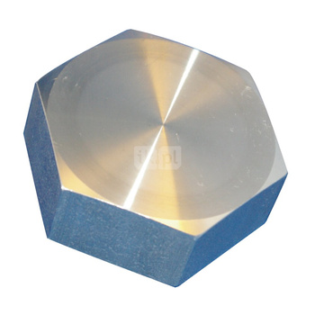 Kołpak gwintowany stal nierdzewna, przył. 2 1/2'' dł.107mm szer.92mm 2508119 WILO