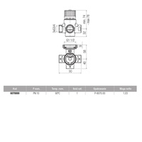 TERMOCONTROL Zawór termostatyczny 4-drogowy