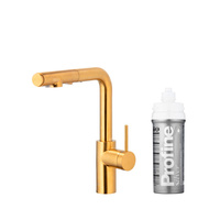 DUERO PURE BASIC PULL-OUT BATERIA KUCHENNA Z FUNKCJĄ FILTRACJI WODY I WYCIĄGANĄ WYLEWKĄ, BRUSHED GOLD + ZESTAW FILTRUJĄCY PROFINE SILVER S