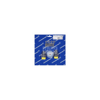 Zestaw napr. SD-M-PVC/T/C-2 zaw/membr.