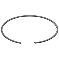 Pierścień rozprężny REMS