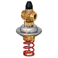 Regulator różnicy ciśnień z ograniczeniem przepływu AVPQ PN25 50/20 02-10/02 gw. pow.