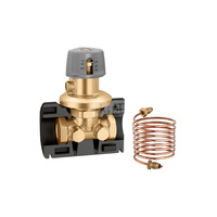 Regulator różnicy ciśnienia (DPRV) O1" 50÷300