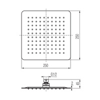 CARRE Głowica prysznicowa 200x200x2 mm chrom.