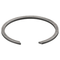 Pierścień rozprężny REMS