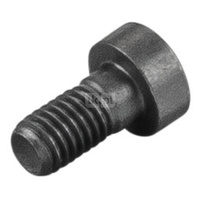 Śruba z łbem walcowym