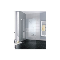 Kermi Walk-In Filia TWF 1200x 2000 GAK: 1200 srebro wysoki połysk, szkło ESG przezroczyste z Clean