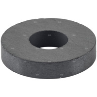 Pierścień magnetyczny REMS