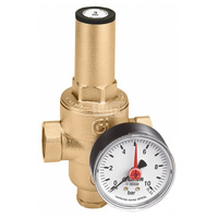 Regulator ciśnienia z wymiennym wkładem z manometrem. Przyłącza z gwintem wewnętrznym 3/4"