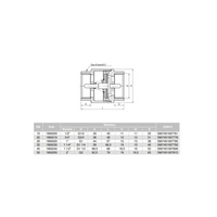 Zawór zwrotny VALVEX Tiger Plus 1 1/2'' GW PN 10 max. 120'C