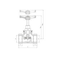 1105 Zawór przelotowy prosty grzybkowy 3/4"