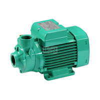 Wilo-HiPeri 1-5 pompa peryferyjna